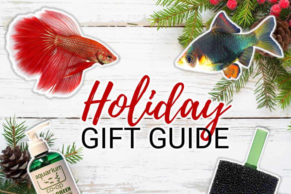 10+ Holiday Gift Ideas for Your Favorite Fish Keeper - Aquarium Co-Op