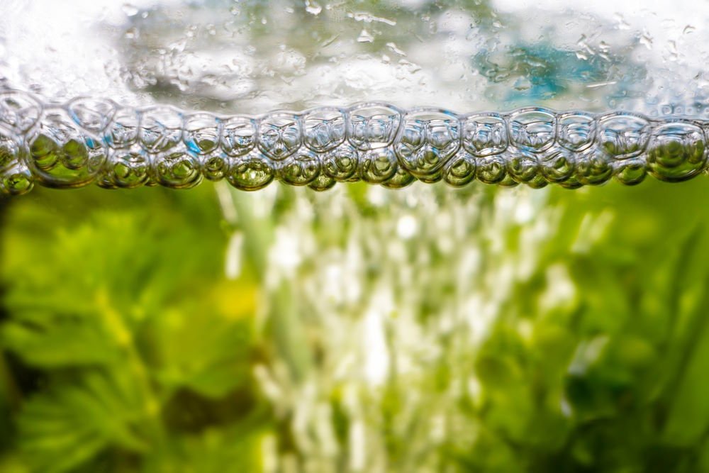 7 Reasons Why Your Aquarium Water Has Bubbles or Foaming - Aquarium Co-Op