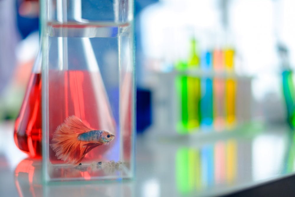 How (and How Often) to Test Aquarium Water for Healthy Fish and Plants - Aquarium Co-Op