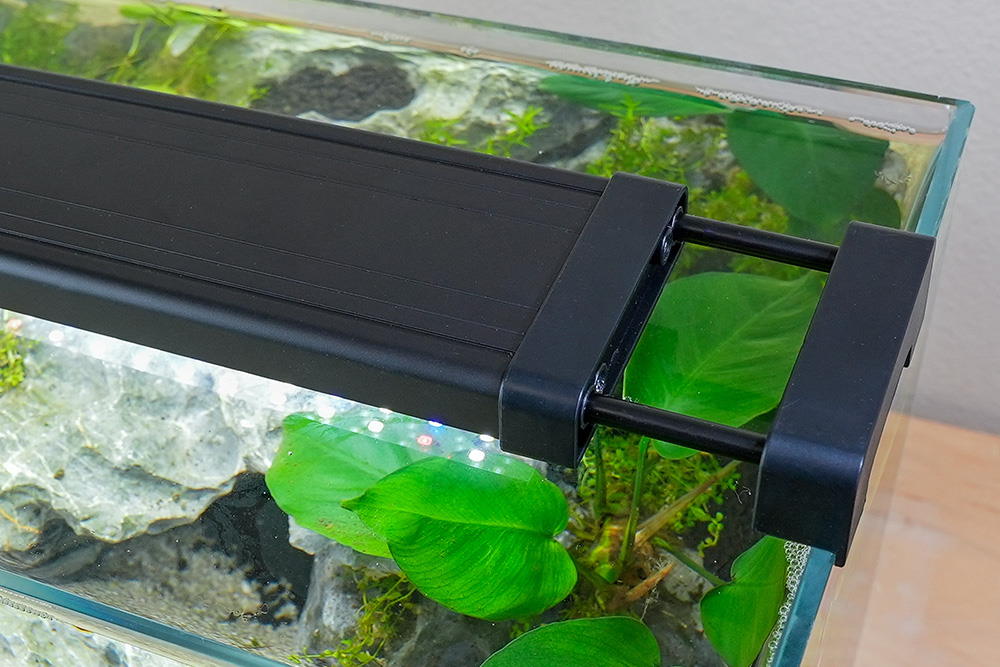 How to Balance Aquarium Lighting to Grow Healthy Plants (and Avoid Algae) - Aquarium Co-Op