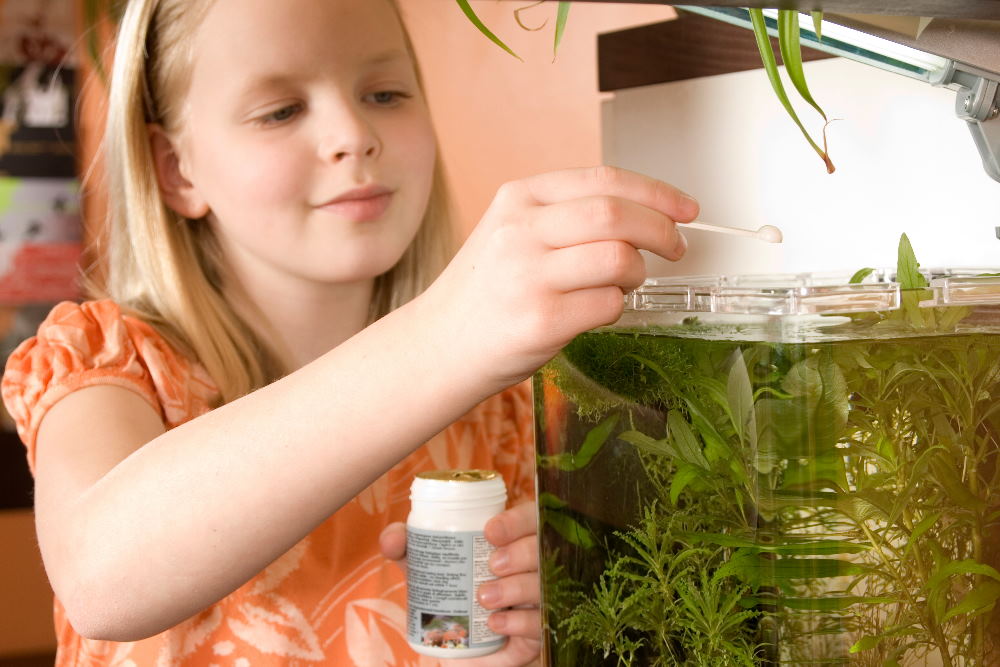 How to Care for Aquarium Fish While on Vacation - Aquarium Co-Op