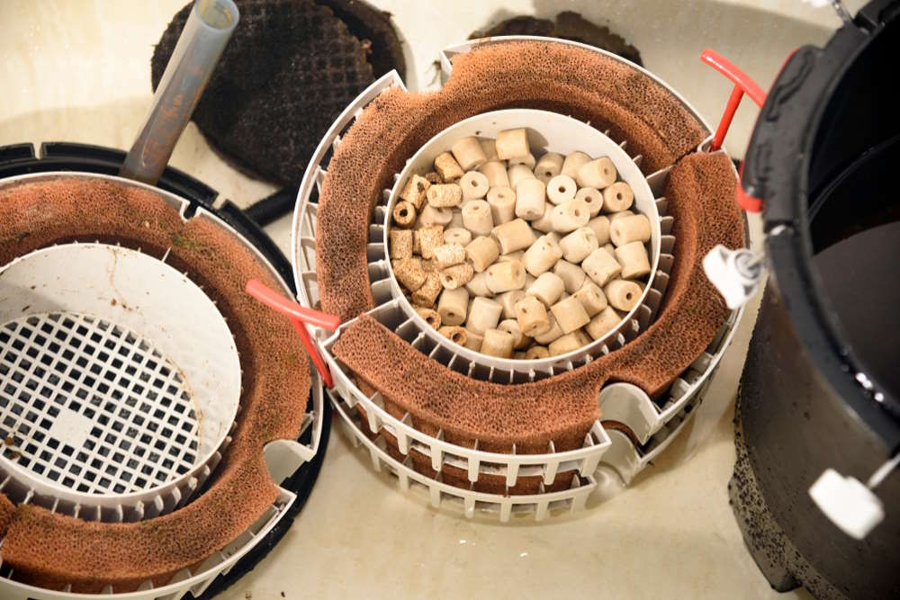 How to Clean Aquarium Filters — Sponge, Hang-on-Back, Canister Filters and More - Aquarium Co-Op