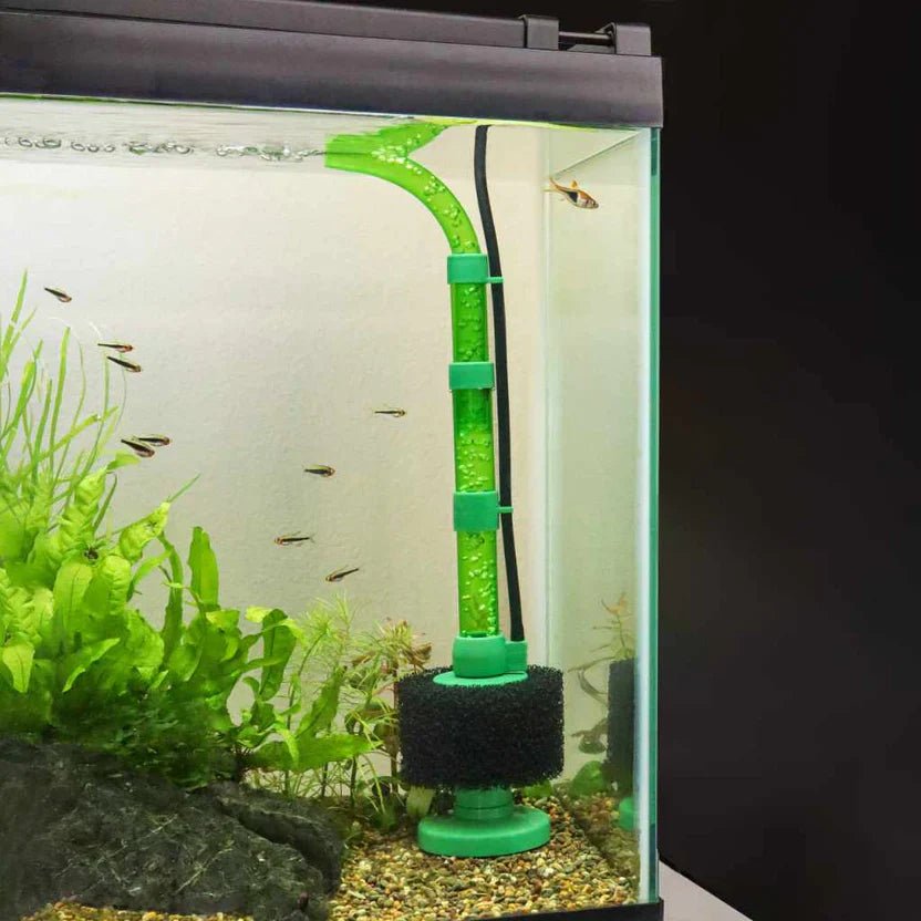 How to Improve Water Circulation on Aquarium Sponge Filters - Aquarium Co-Op