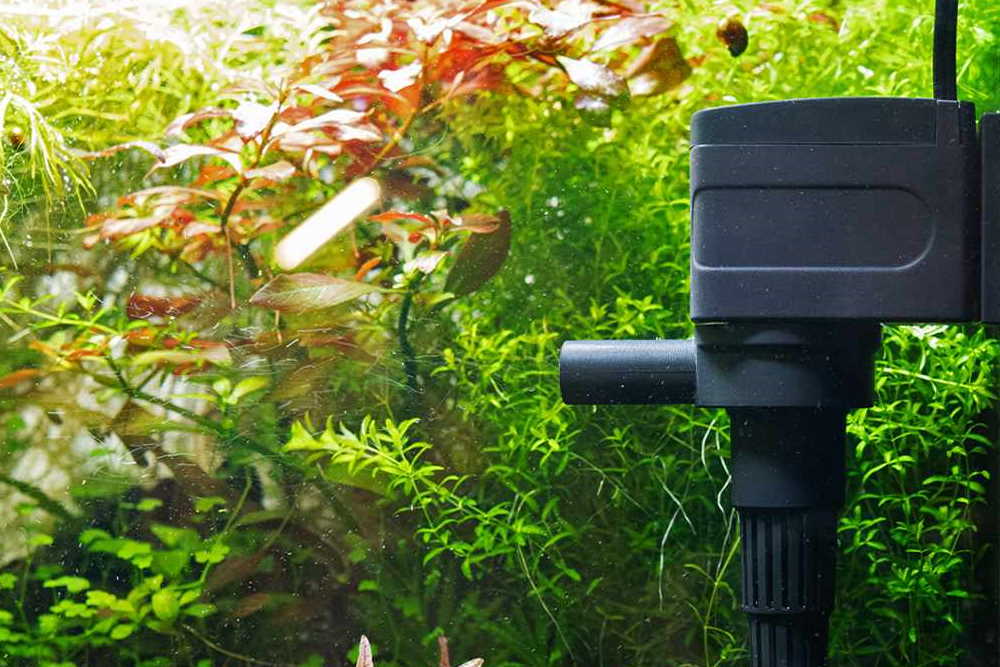 How to Increase Water Circulation in Your Aquarium - Aquarium Co-Op