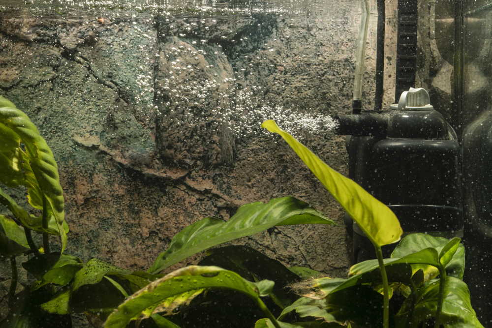 How to Slow the Flow in Your Aquarium - Aquarium Co-Op