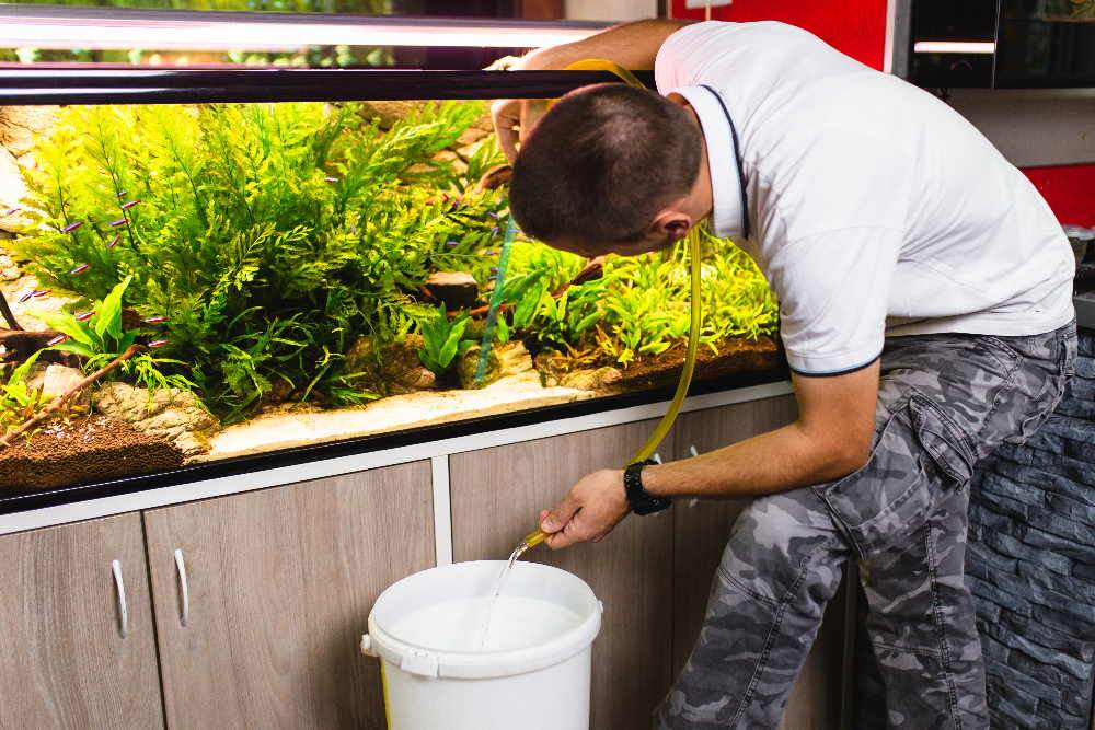 How to Use a Gravel Vacuum to Clean Aquariums - Aquarium Co-Op