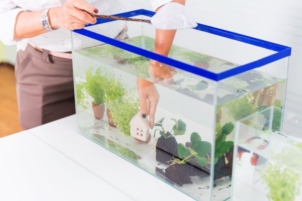 New Fish Checklist: How to Set Up a Fish Tank - Aquarium Co-Op