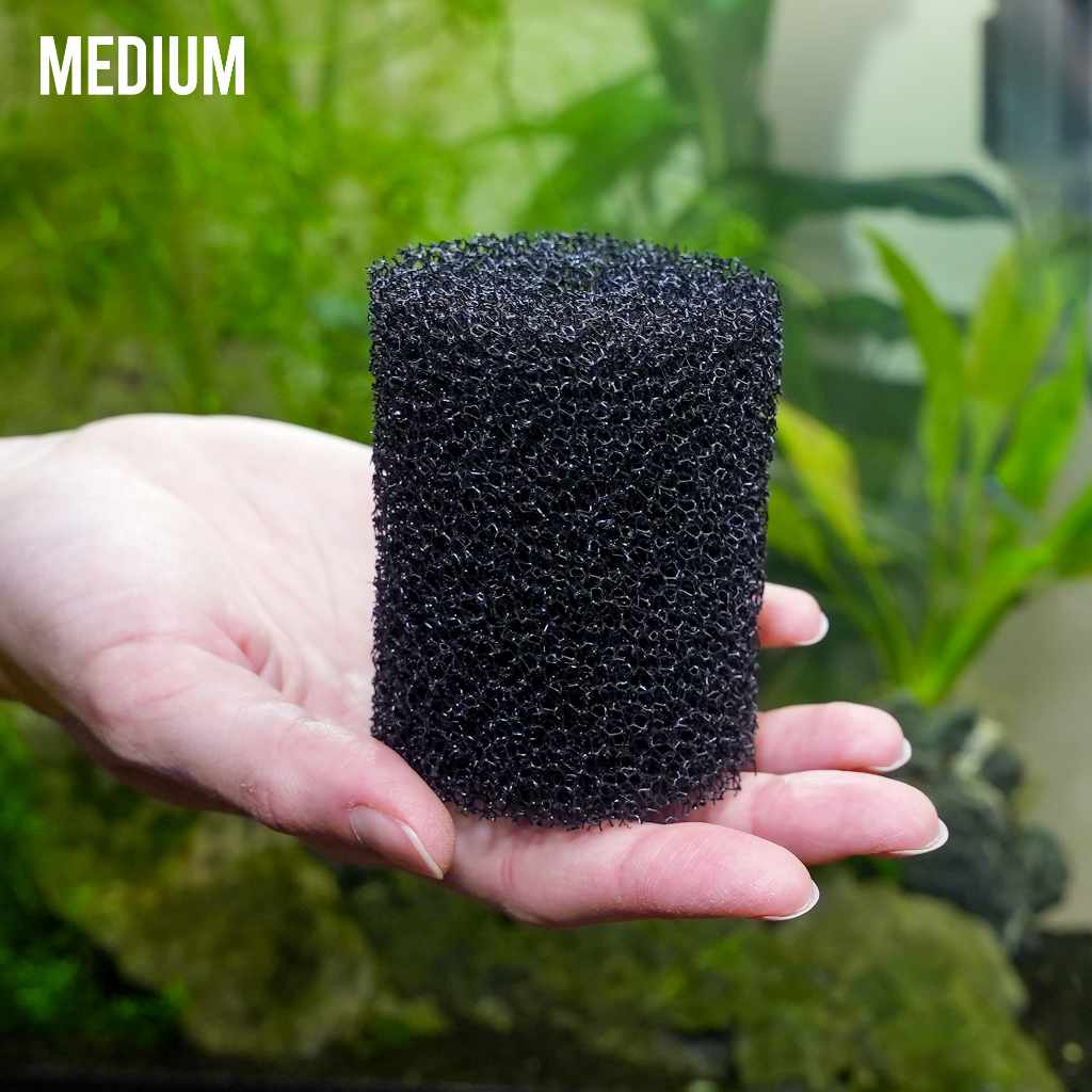Pre Filters: How One Small Hack Transformed the Aquarium Hobby! - Aquarium Co-Op