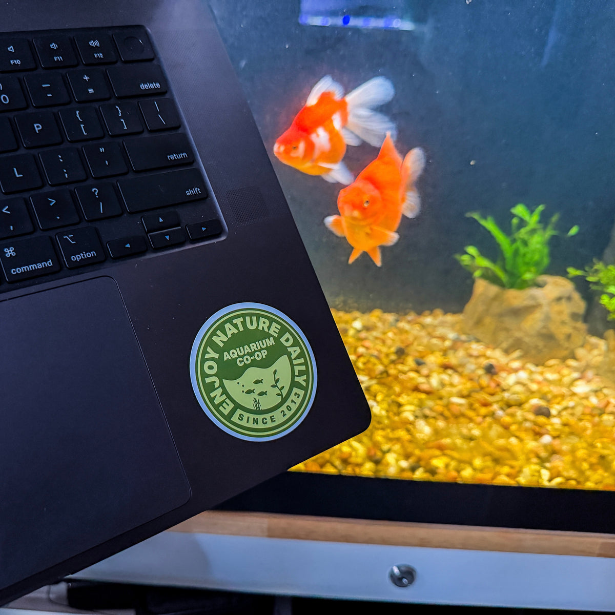 Enjoy Nature Daily Badge Sticker Decal