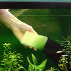 Algae Scrubber (3 - PACK) - Aquarium Co - Op