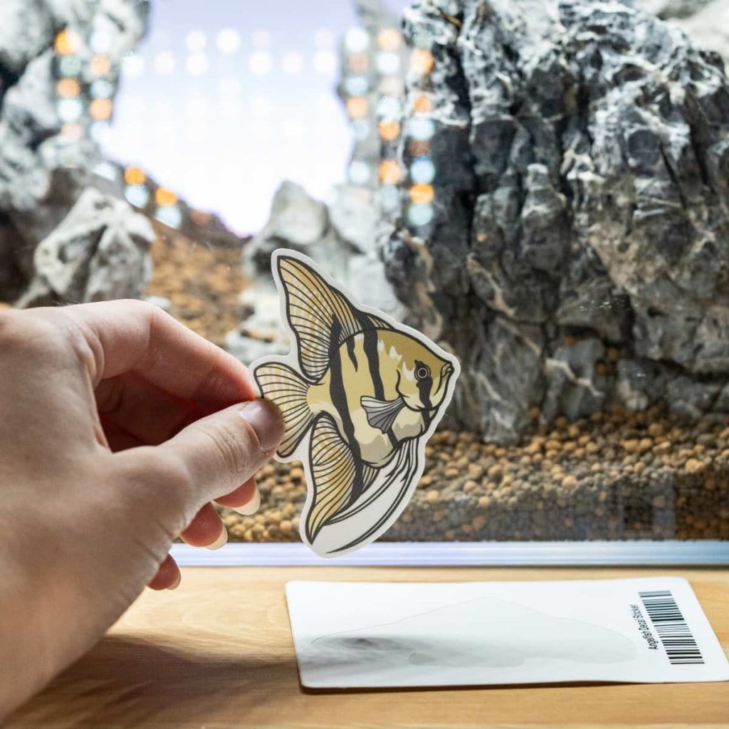 Angelfish Decal Sticker - Aquarium Co - Op