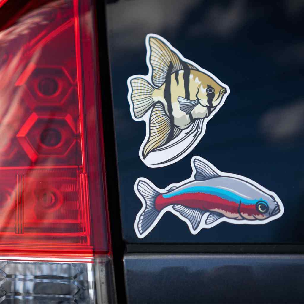 Angelfish Decal Sticker - Aquarium Co - Op