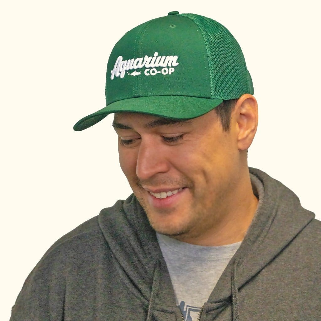 Aquarium Co - Op Baseball Logo Snapback Hat - Aquarium Co - Op