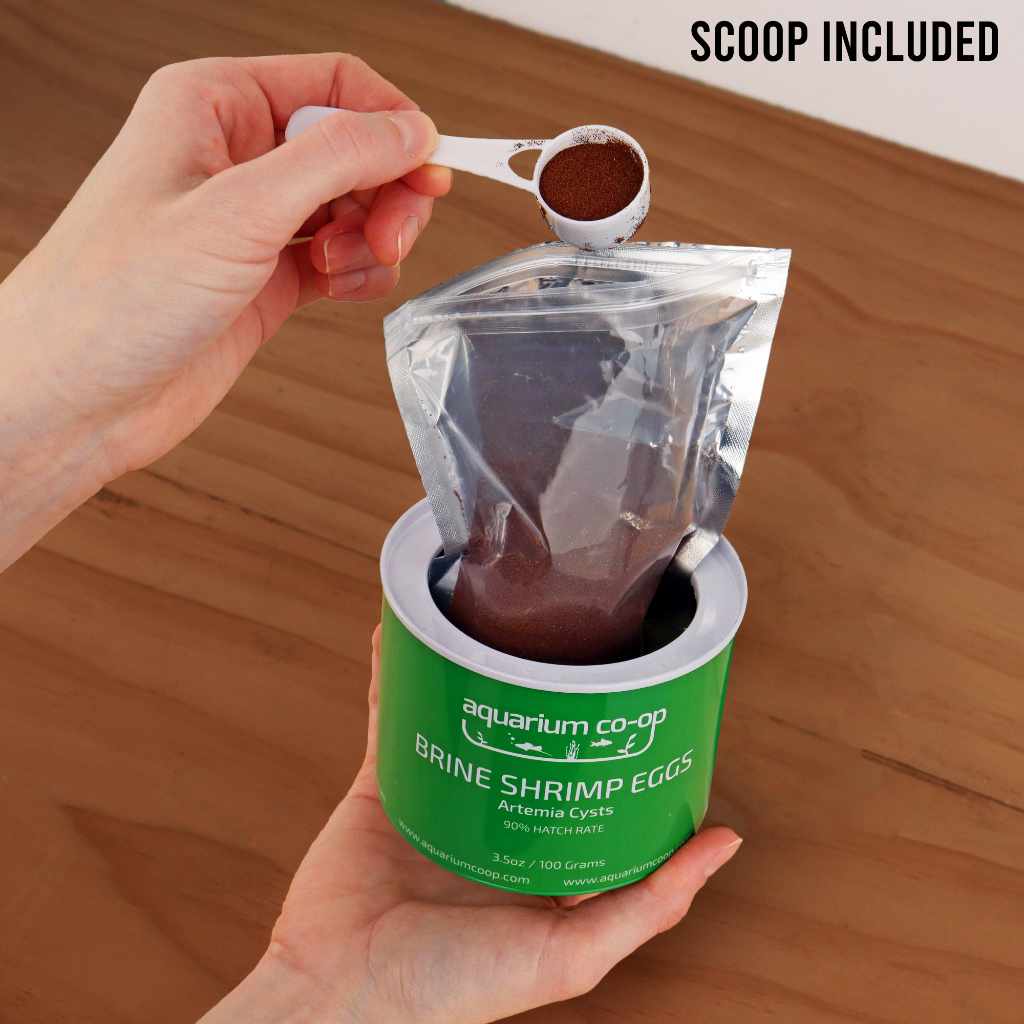 Aquarium Co - Op Brine Shrimp Eggs - Aquarium Co - Op
