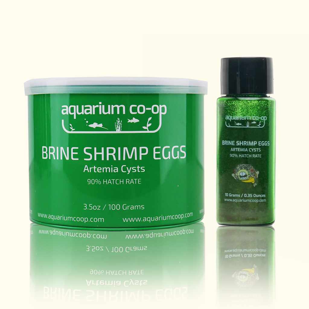 Aquarium Co - Op Brine Shrimp Eggs - Aquarium Co - Op