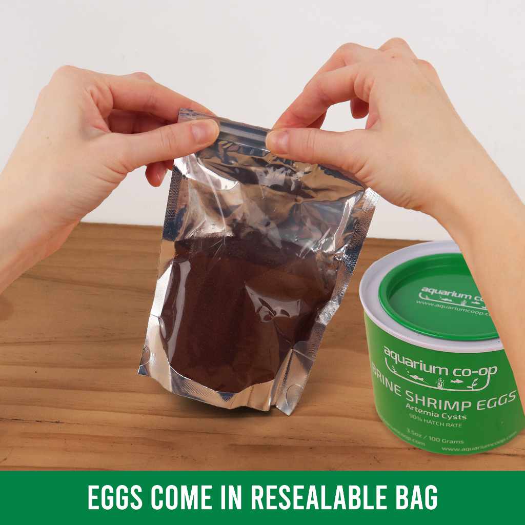 Aquarium Co - Op Brine Shrimp Eggs - Aquarium Co - Op