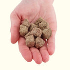 Aquarium Co - Op Freeze Dried Brine Shrimp Cubes - Aquarium Co - Op