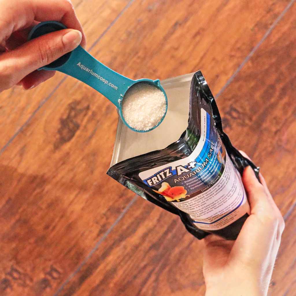 Aquarium Co - Op Measuring Spoon - Aquarium Co - Op