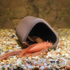 Aquarium Co - Op Pleco Cave - Aquarium Co - Op