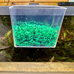 Aquarium Co - Op Rubber Bands (1lb bag) - Aquarium Co - Op