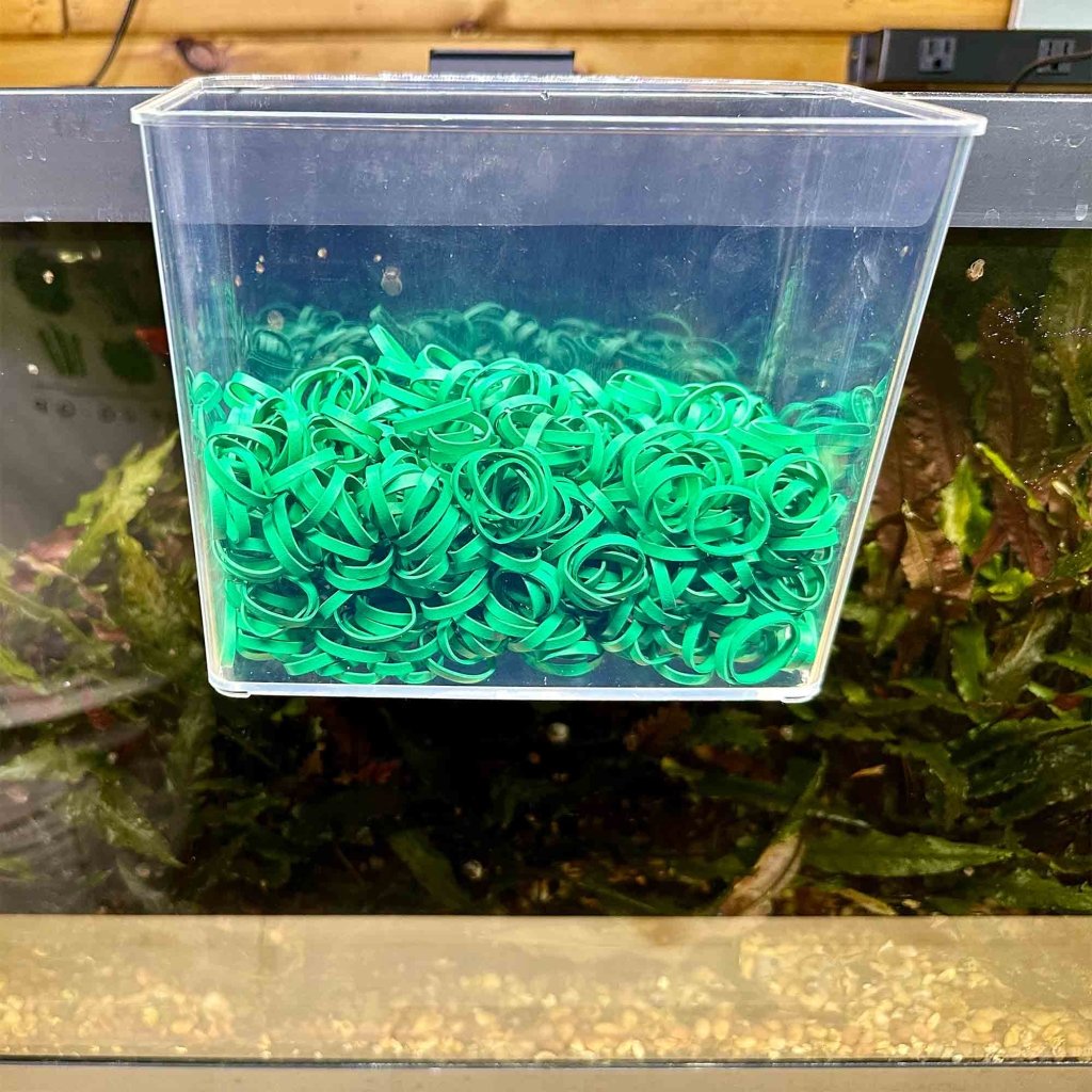 Aquarium Co - Op Rubber Bands (1lb bag) - Aquarium Co - Op