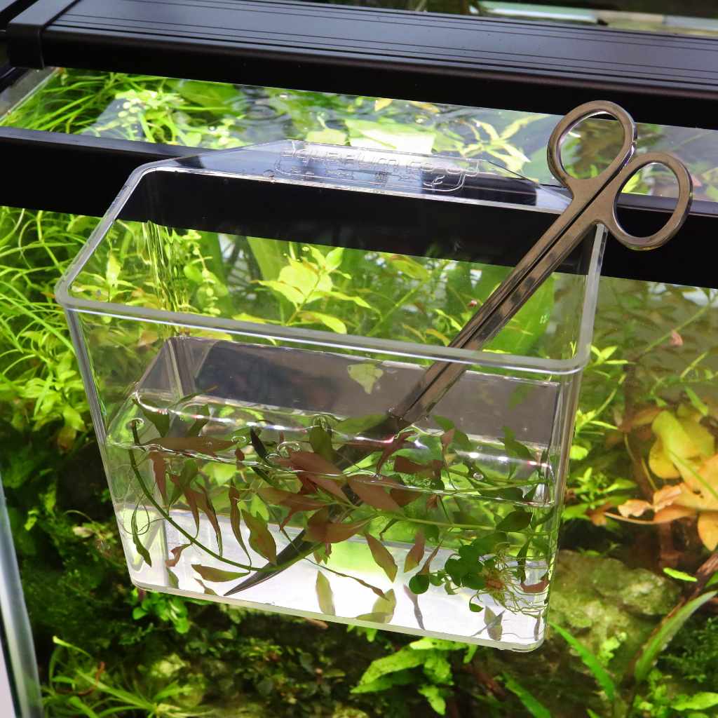 Aquarium Co - Op Unbreakable Catch Cup - Aquarium Co - Op