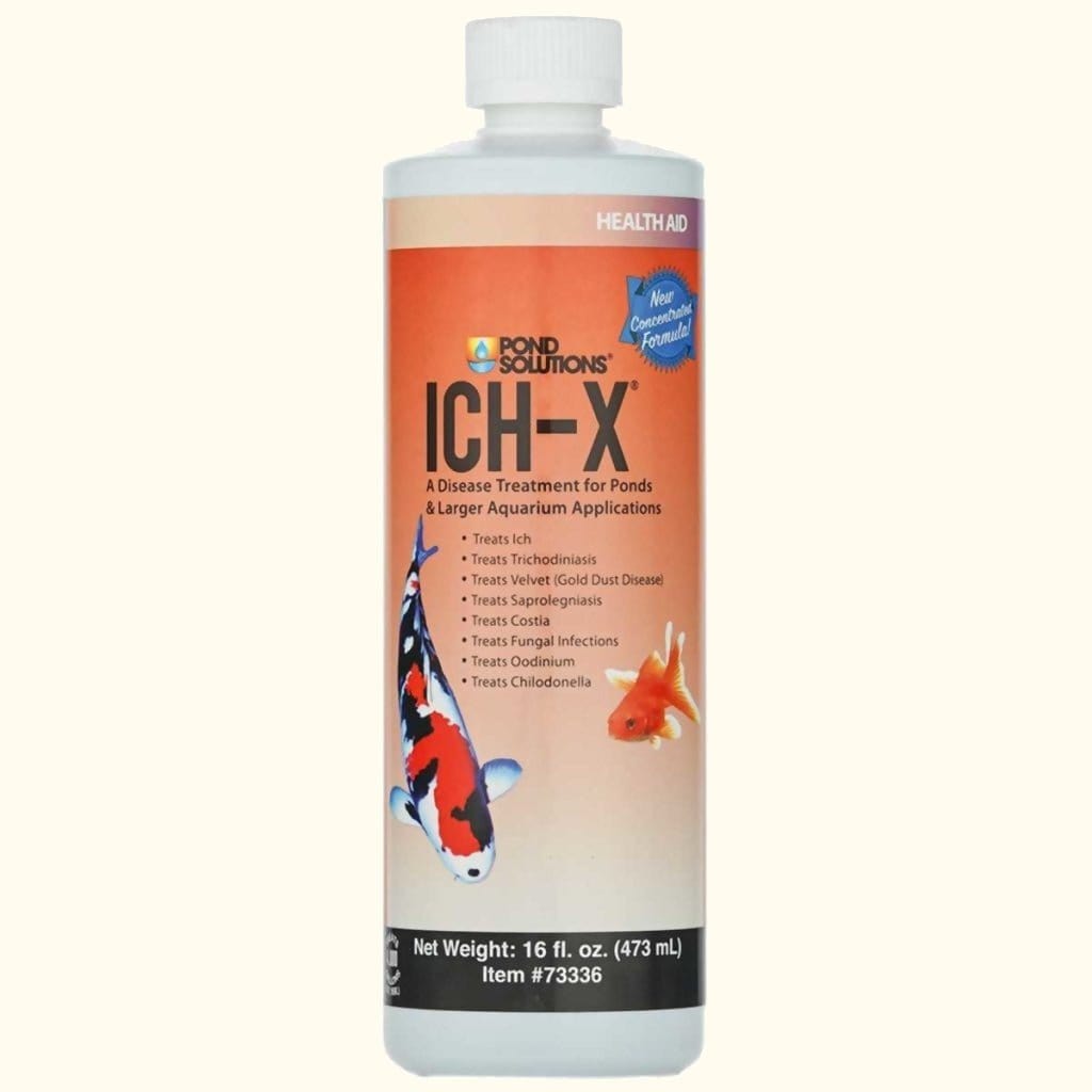 Aquarium Solutions Ich - X - Aquarium Co - Op