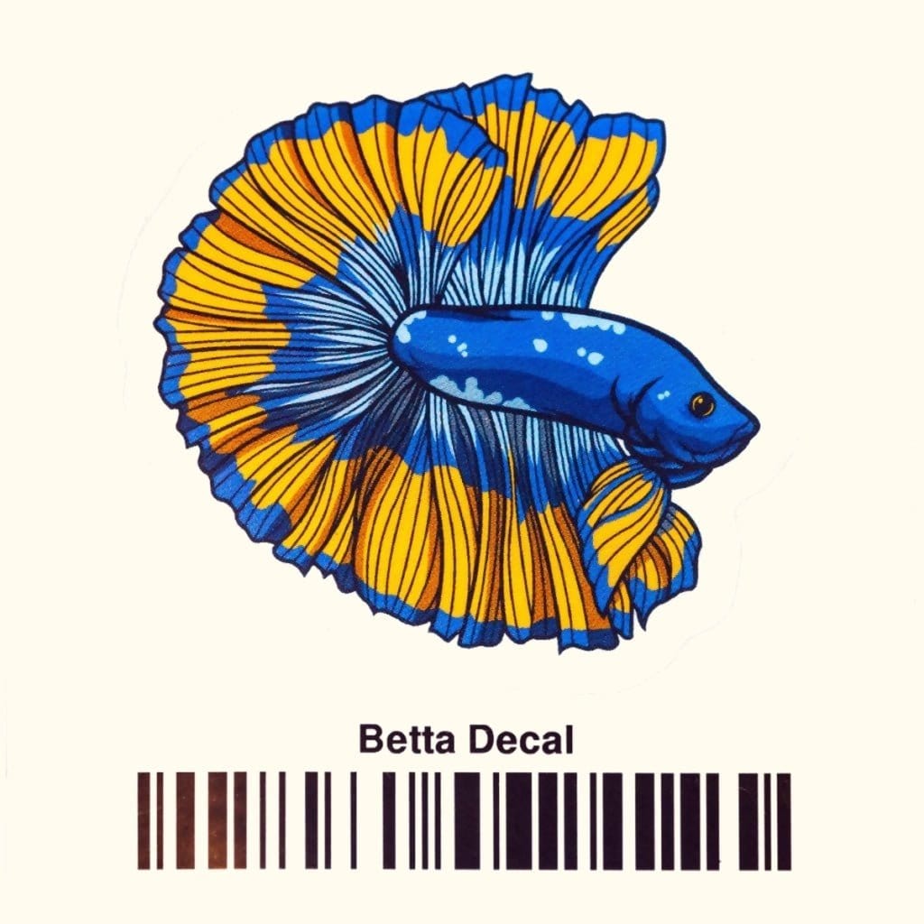 Betta Decal - Aquarium Co - Op