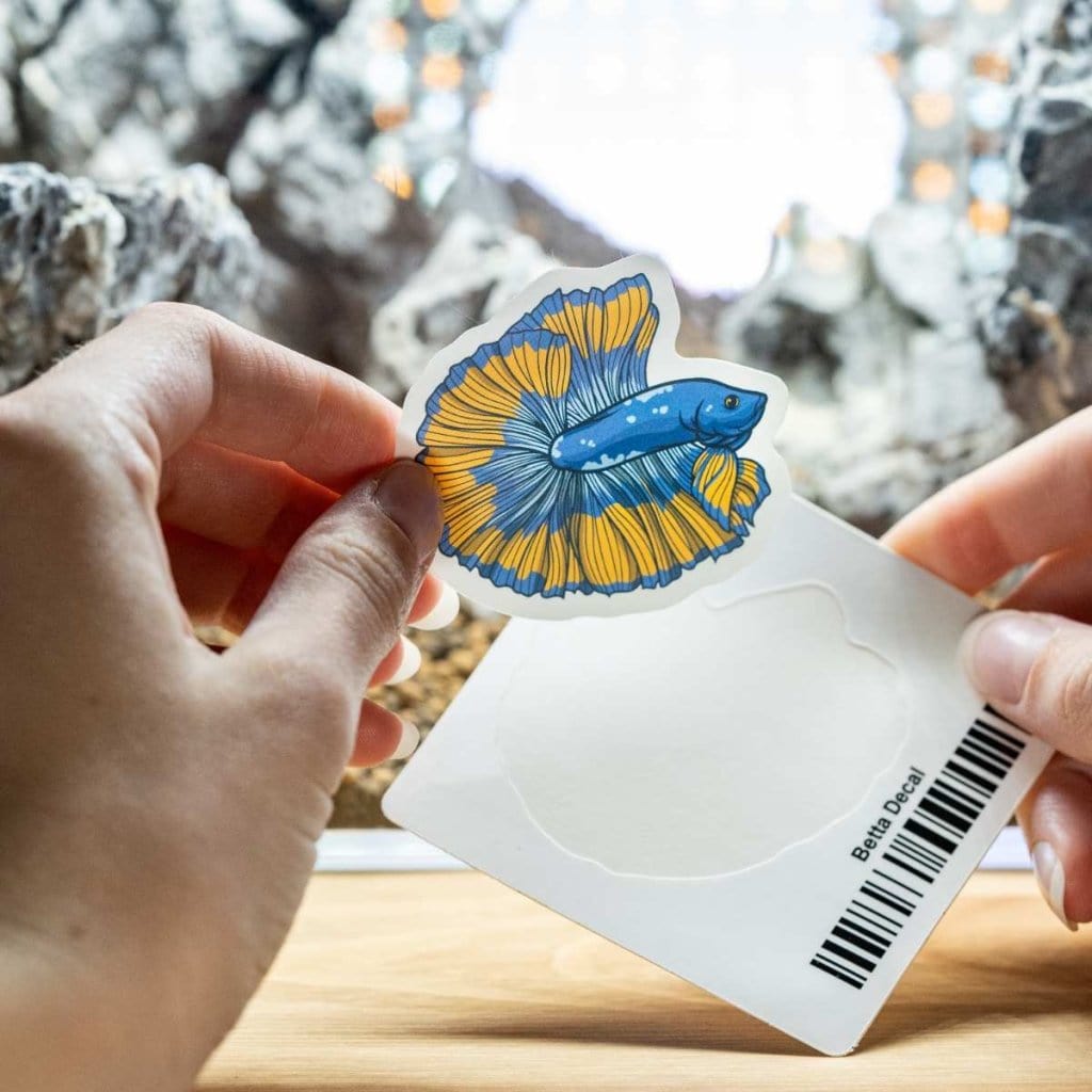 Betta Decal - Aquarium Co - Op