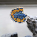 Betta Decal - Aquarium Co - Op