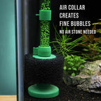 Black Easy Flow Sponge Filter (coarse) - Aquarium Co - Op