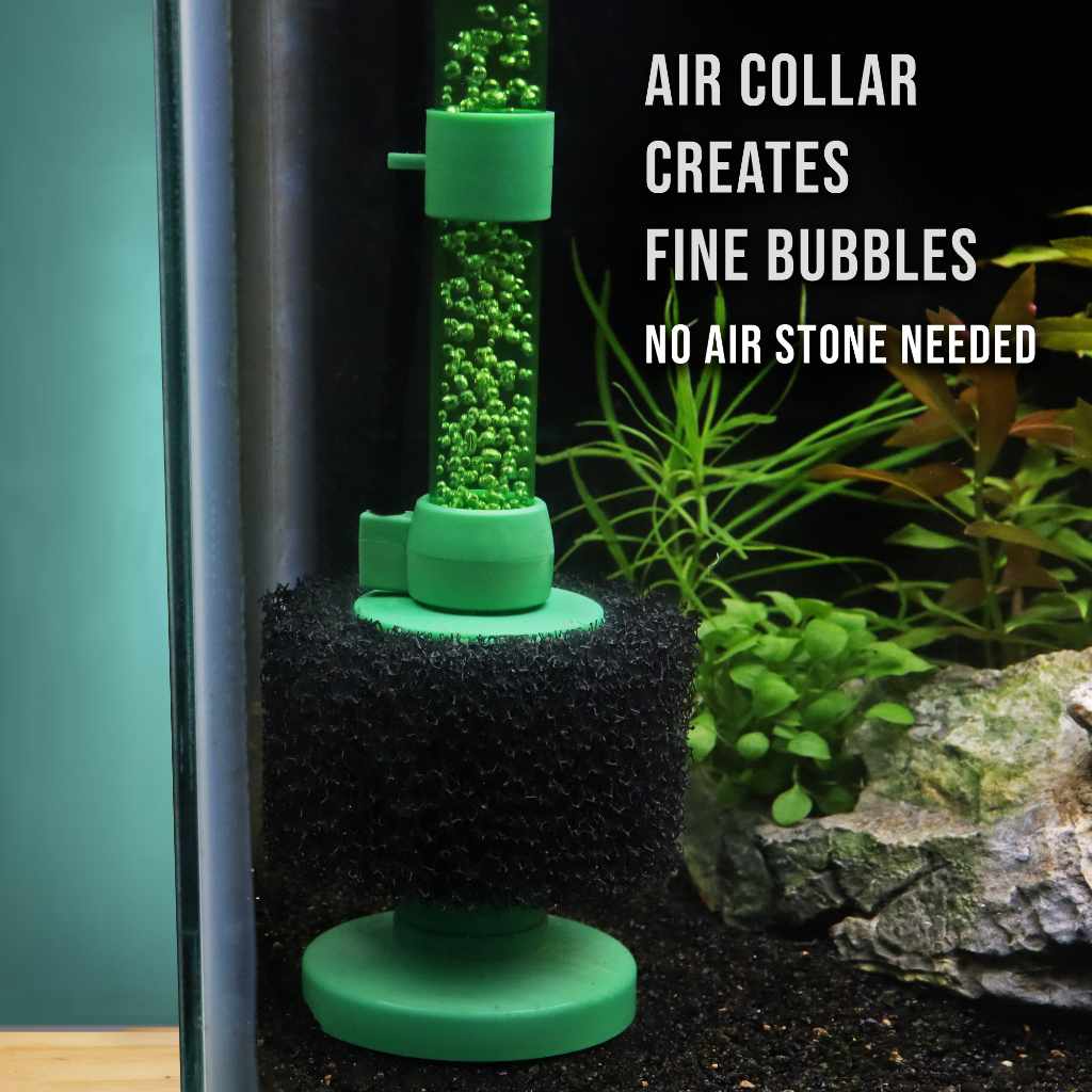 Black Easy Flow Sponge Filter (coarse) - Aquarium Co - Op