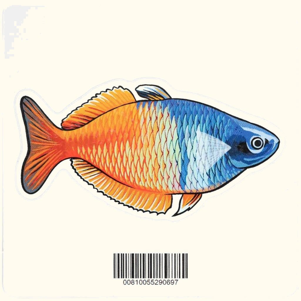 Boesemani Rainbow Decal Sticker - Aquarium Co - Op