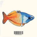 Boesemani Rainbow Decal Sticker - Aquarium Co - Op
