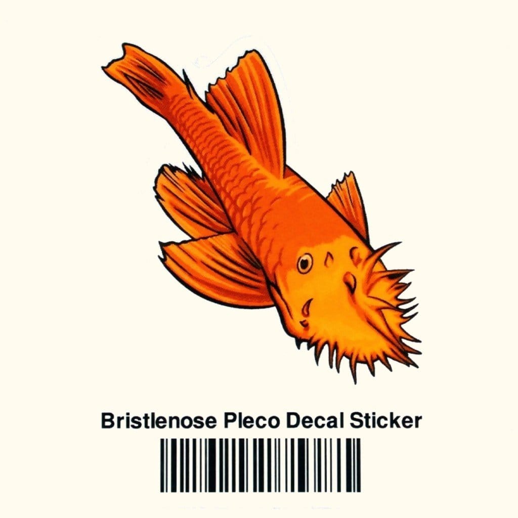 Bristlenose Pleco Decal Sticker - Aquarium Co - Op