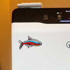 Cardinal Tetra Decal Sticker - Aquarium Co - Op