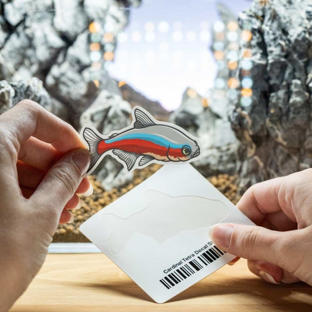 Cardinal Tetra Decal Sticker - Aquarium Co - Op