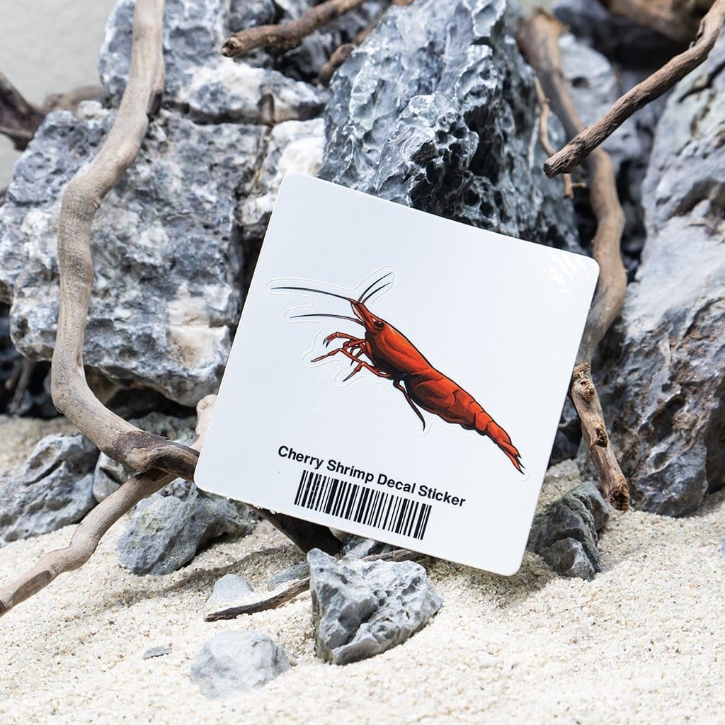 Cherry Shrimp Decal Sticker - Aquarium Co - Op