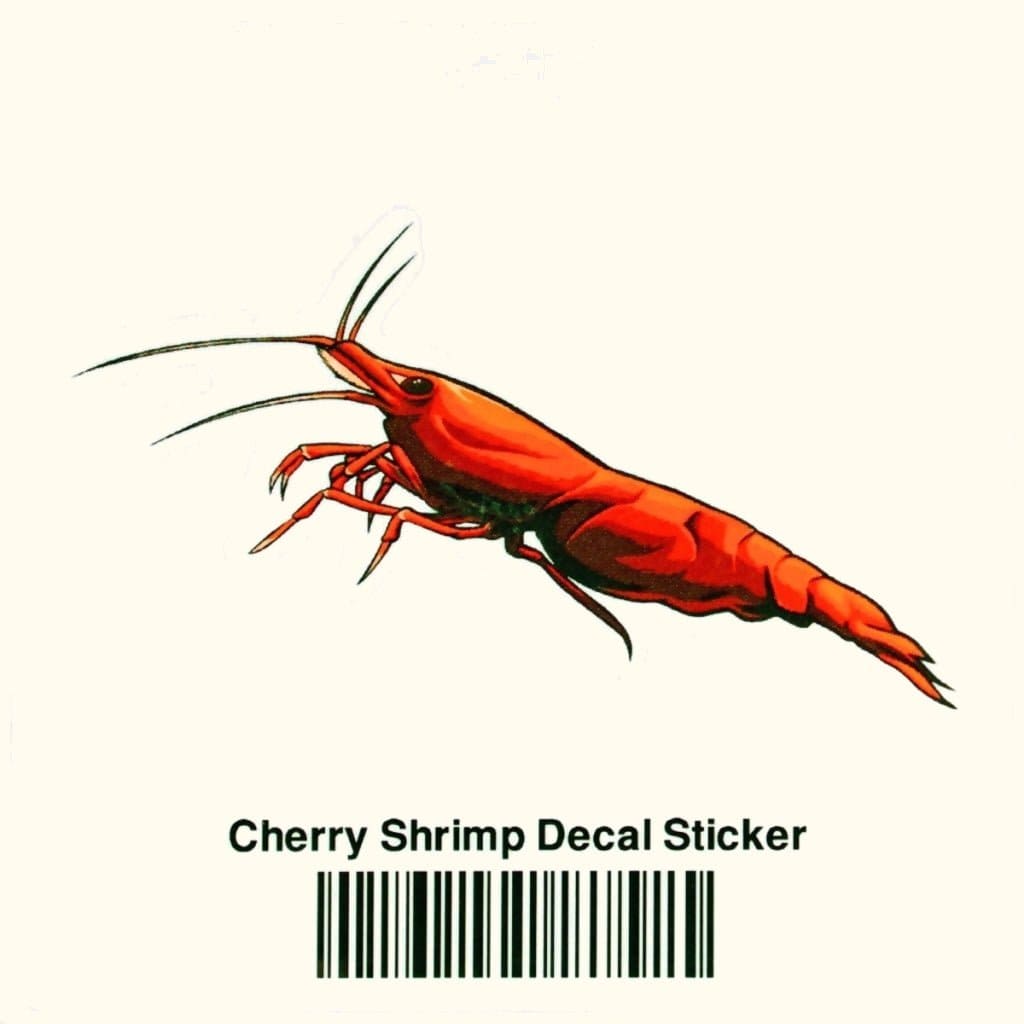 Cherry Shrimp Decal Sticker - Aquarium Co - Op