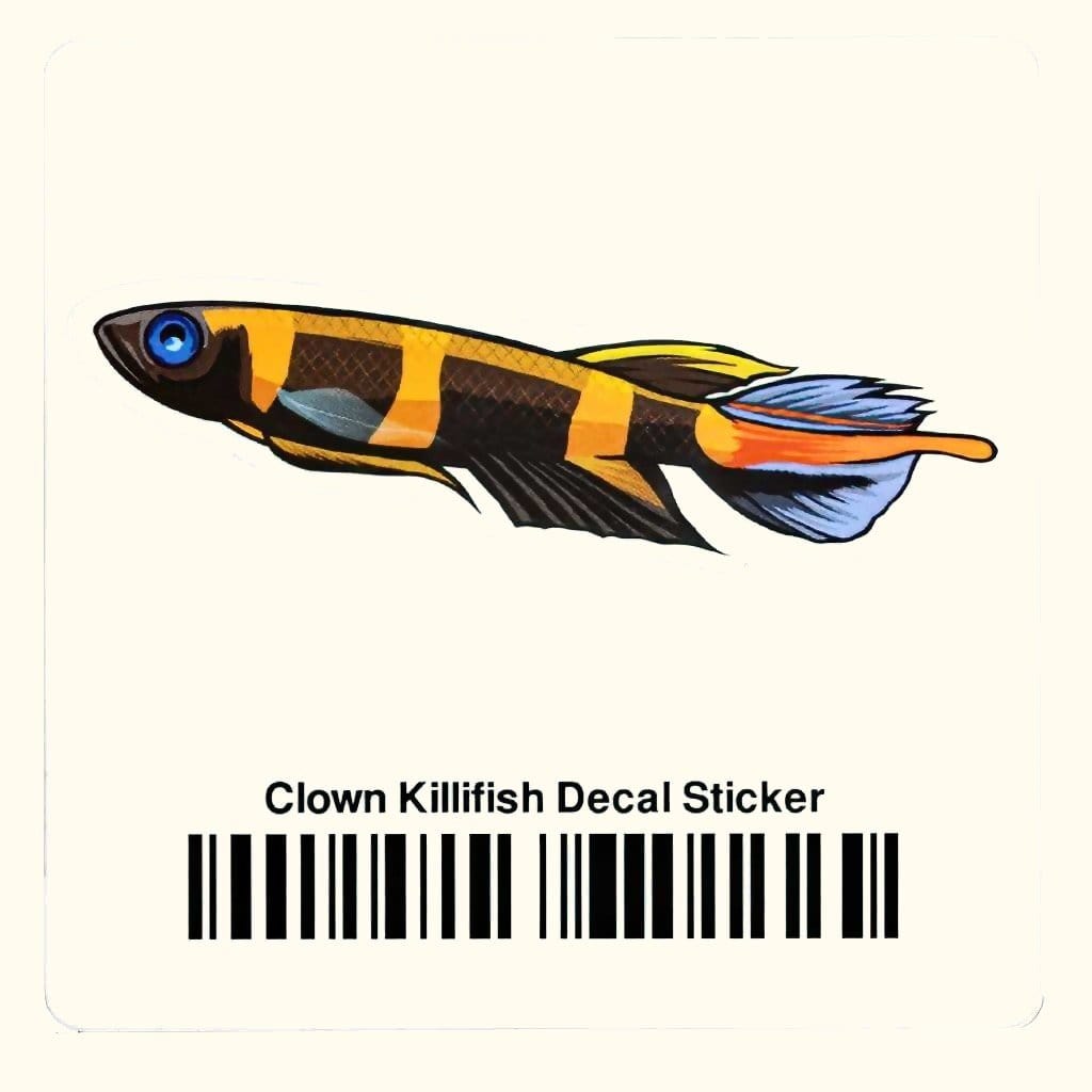 Clown Killifish Decal Sticker - Aquarium Co - Op