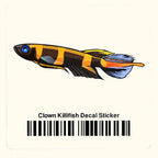 Clown Killifish Decal Sticker - Aquarium Co - Op