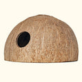 Coconut Hut - Aquarium Co - Op
