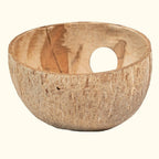 Coconut Hut - Aquarium Co - Op