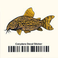 Corydoras Decal Sticker - Aquarium Co - Op