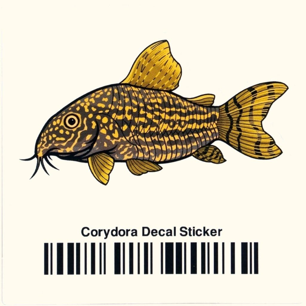 Corydoras Decal Sticker - Aquarium Co - Op