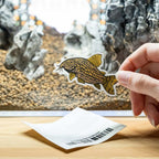 Corydoras Decal Sticker - Aquarium Co - Op