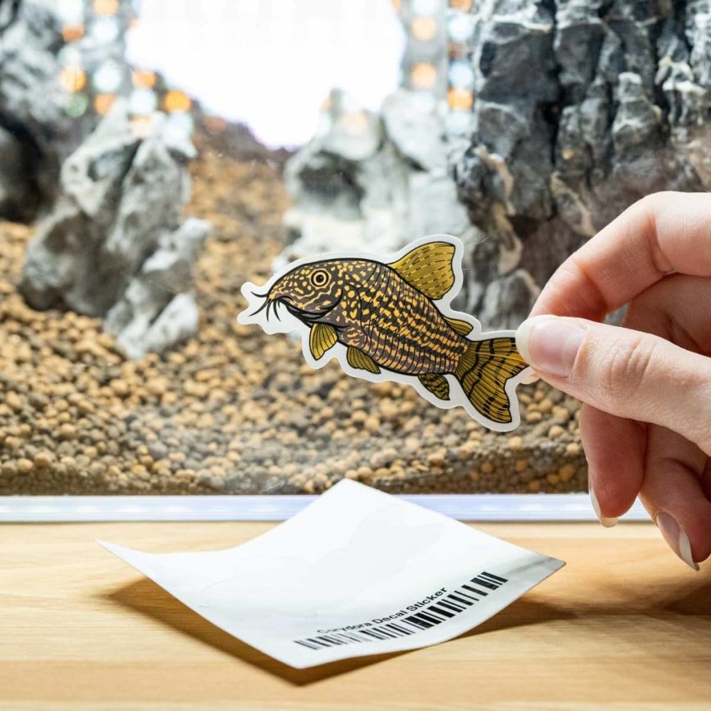 Corydoras Decal Sticker - Aquarium Co - Op