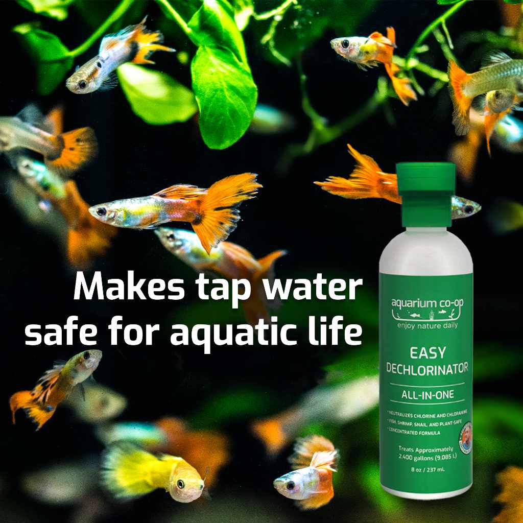 Easy Dechlorinator - Aquarium Co - Op