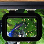 Easy Feeding Basket - Aquarium Co - Op