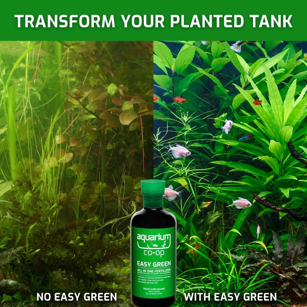 Easy Green All - in - One Fertilizer - Aquarium Co - Op